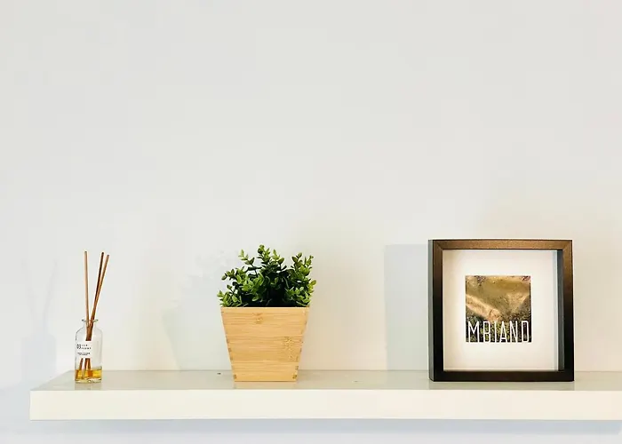 Sunny Arroios Appartement